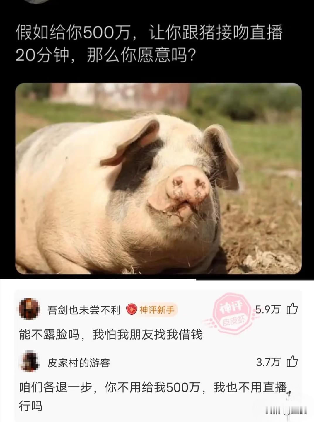 有人为了500万和猪接吻讨价还价，有人用防滑拖鞋把宿舍地砖整块拔起，更有人喝醉后