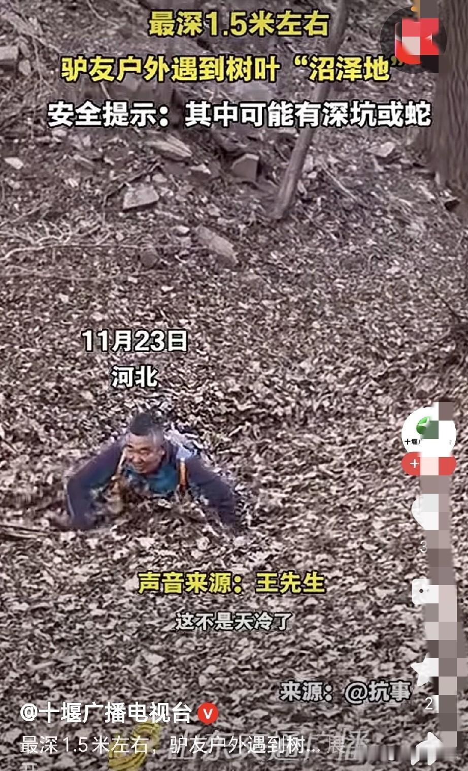 现在玩户外真的是一个比一个牛，这种树叶沼泽直接往里面跳。你说他们是菜鸟吧！都一