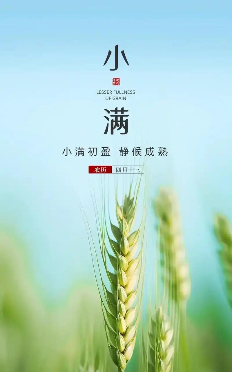 致小满你从农耕文明的褶皱里走来，携着麦穗的谦卑与江河的丰盈，在立夏与芒种之间，