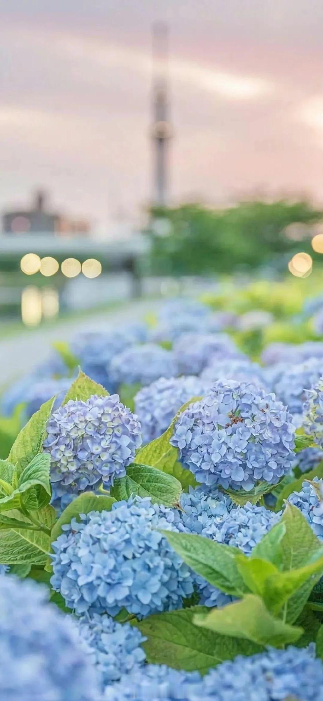 年年岁岁，他们不止有无尽的夏天，还有无尽的爱意。——沈不期《无尽夏》早安​​​