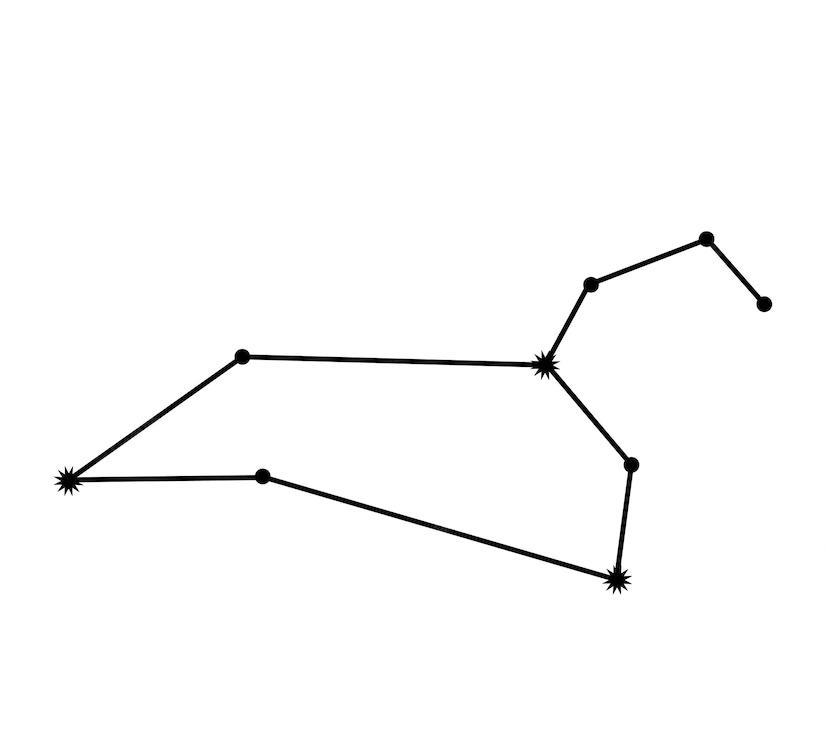 狮子座（六月）每月星座运势当你继续寻找尽可能全心全意地生活的方法时，有一种感觉