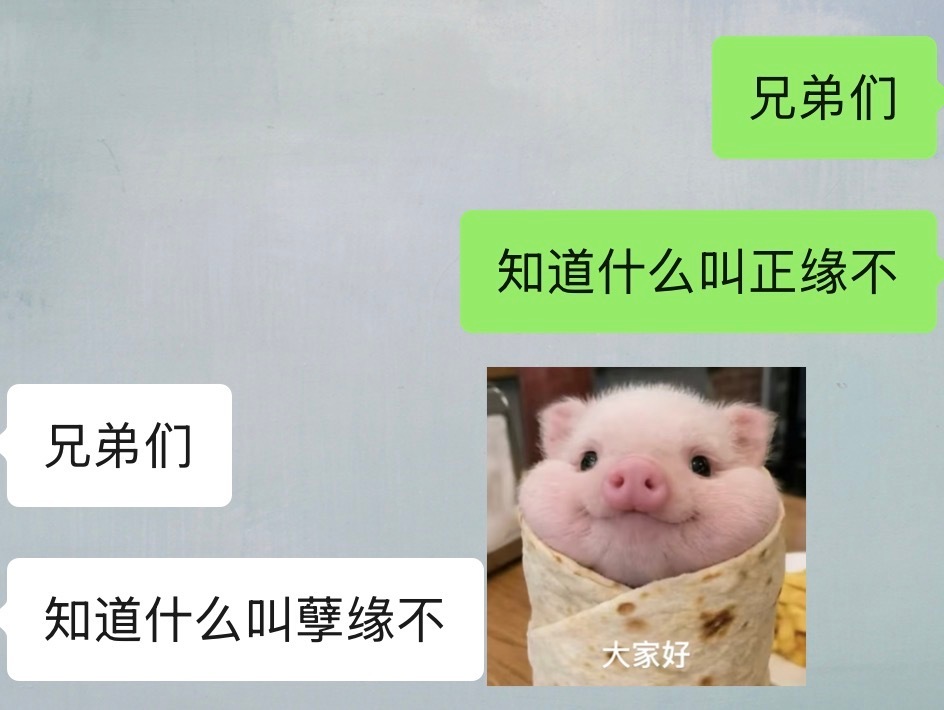 本宝宝正缘真来了​​​
