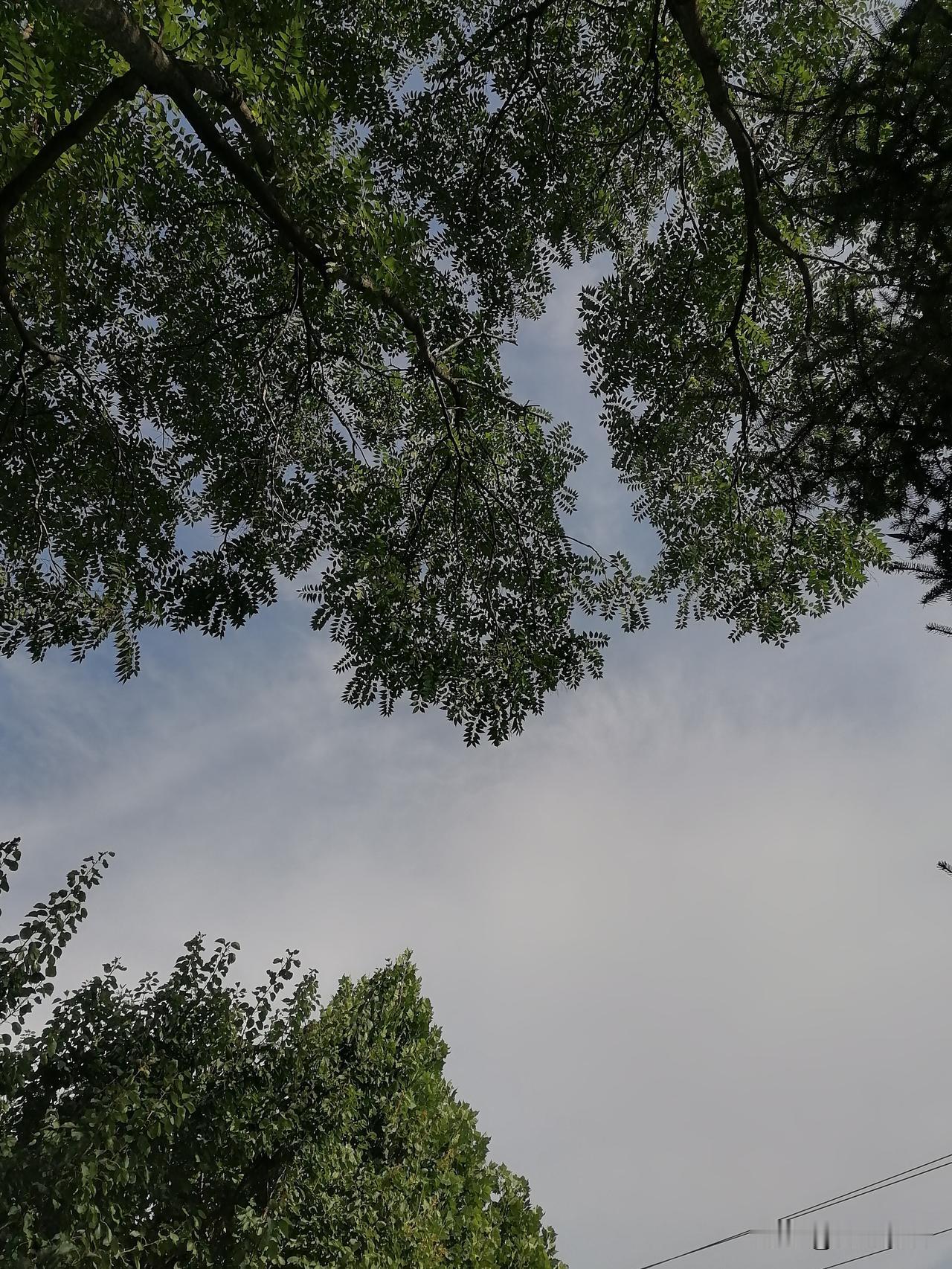 7月9日北京，有分散性雷阵雨，最高气温33℃，湿度较大，体感闷热。明天夜间至周