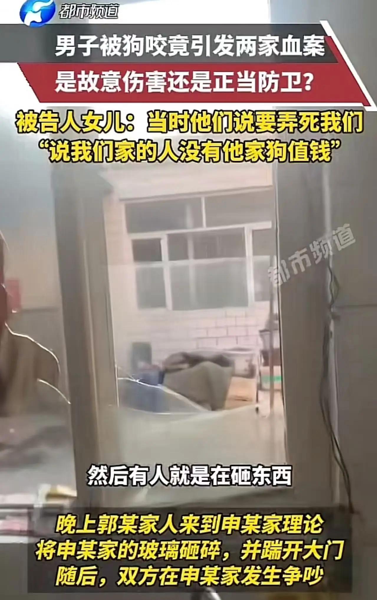 一、事件经过简述男子儿子被狗咬伤男子将狗摔死狗主人带人到男子家中打砸，并