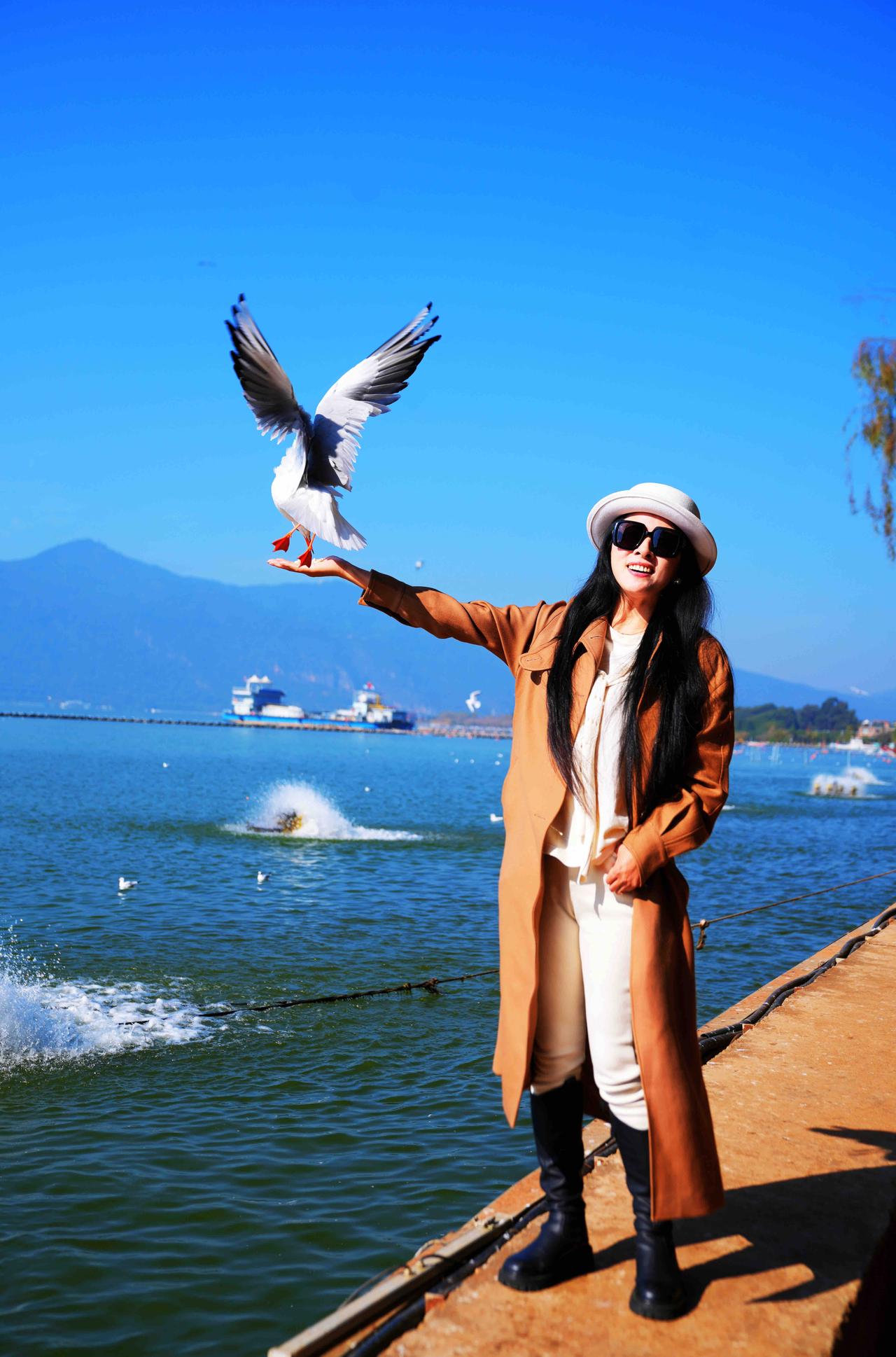 昆明｜💙滇池看我施展魔法～红嘴鸥真的太治愈了