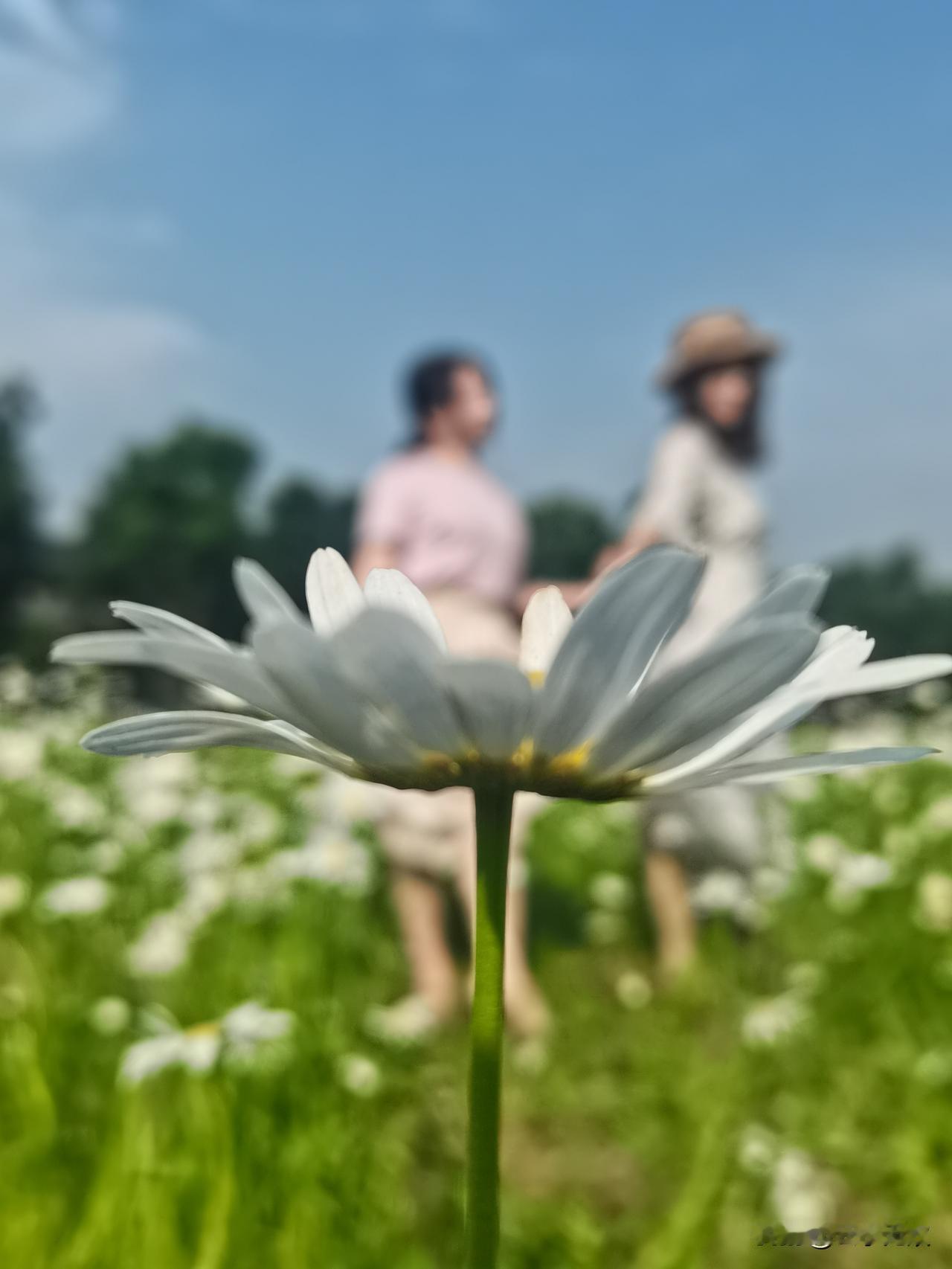 你不要让任何人住在你的心里，哪怕这个人是你爱的人，一个人容易迷失，是因为让别人轻
