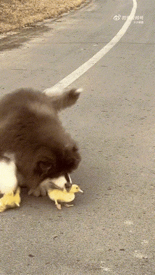 好一个风水轮流转