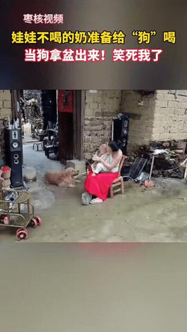 万万没想到！妈妈给宝宝喂奶，宝宝不肯喝，妈妈吓唬宝宝说：你喝不喝，你不喝我就给狗