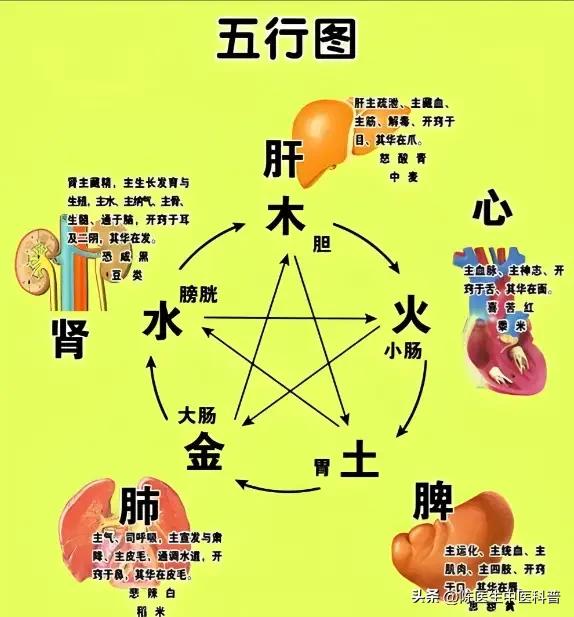 肝血越少，睡眠越差！睡不好的根不在心，而在肝！提示：本内容仅供健康科普，不