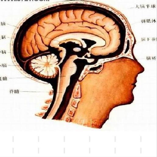 脑出血五个关键期做好，什么也不怕！第一关：急性期急性期一般在刚发病—1周内，