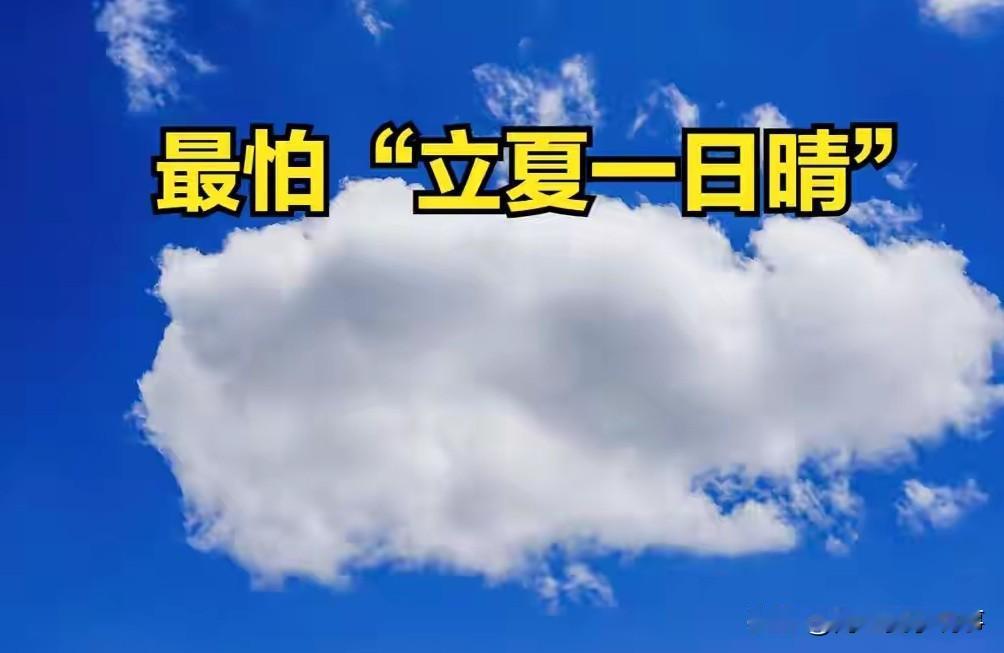 “最怕立夏一日晴”，明日立夏，晴天有啥预兆？老祖宗的担心并非迷信“四时天气促