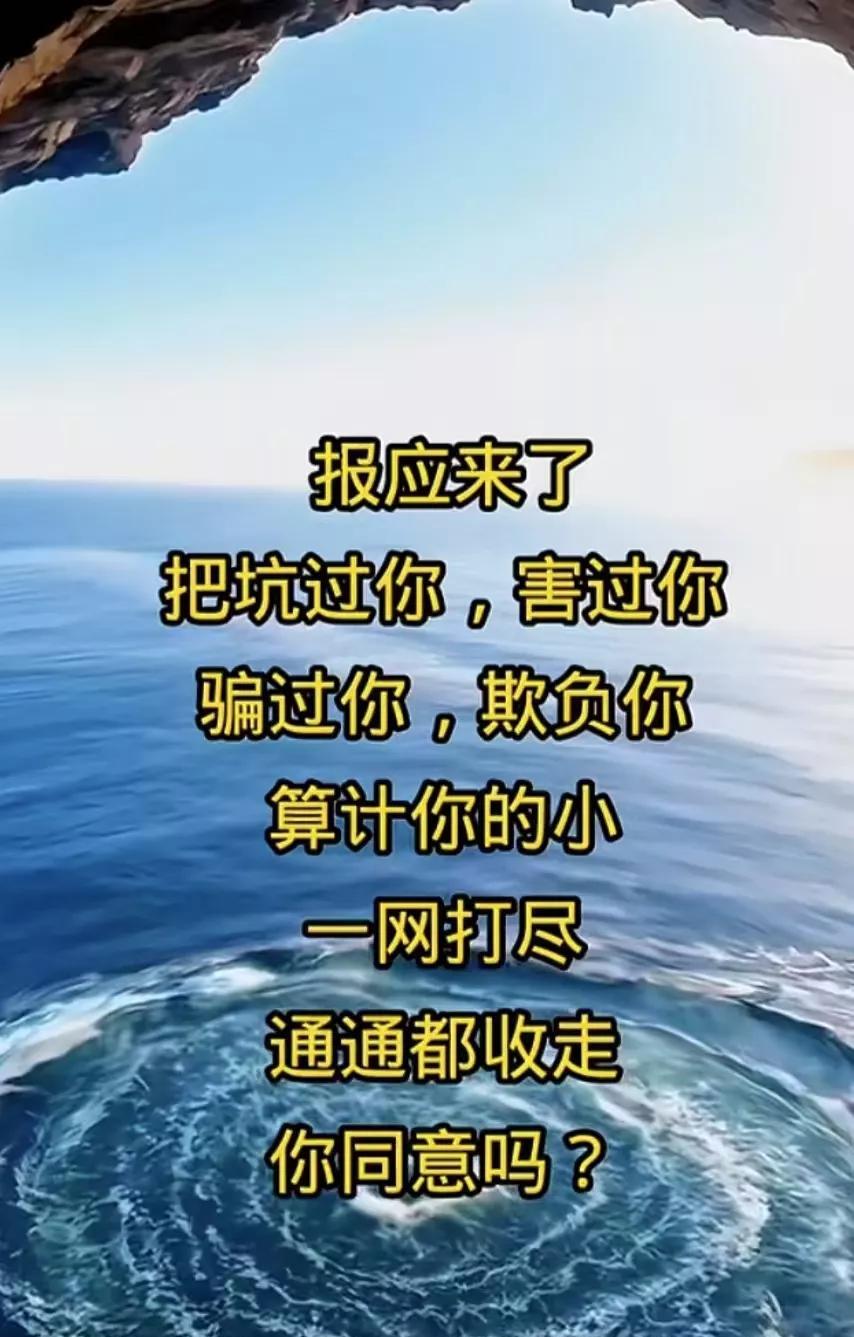报应来了把坑过你，害过你骗过你，欺负你算计你的小网打尽通通都收走你同
