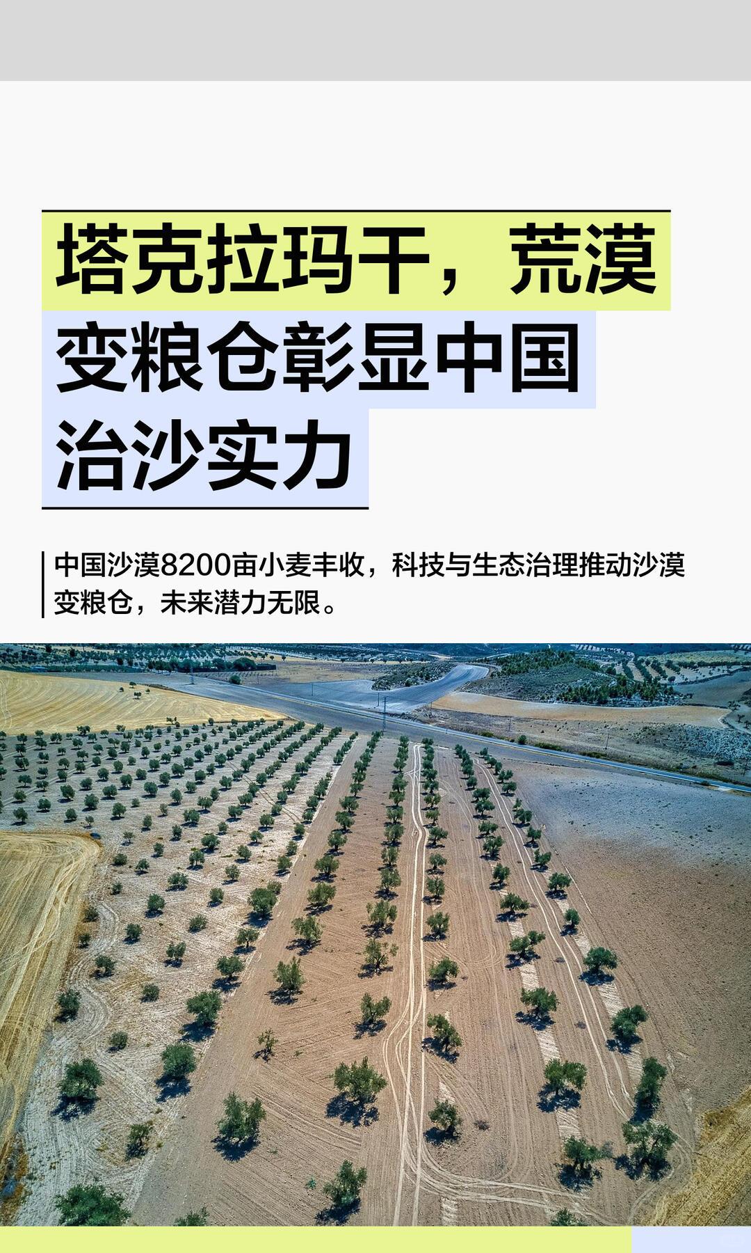 塔克拉玛干绿洲天然先天脆弱，无法仅凭自然长久存续；但依靠科学控水、生态治理，现有