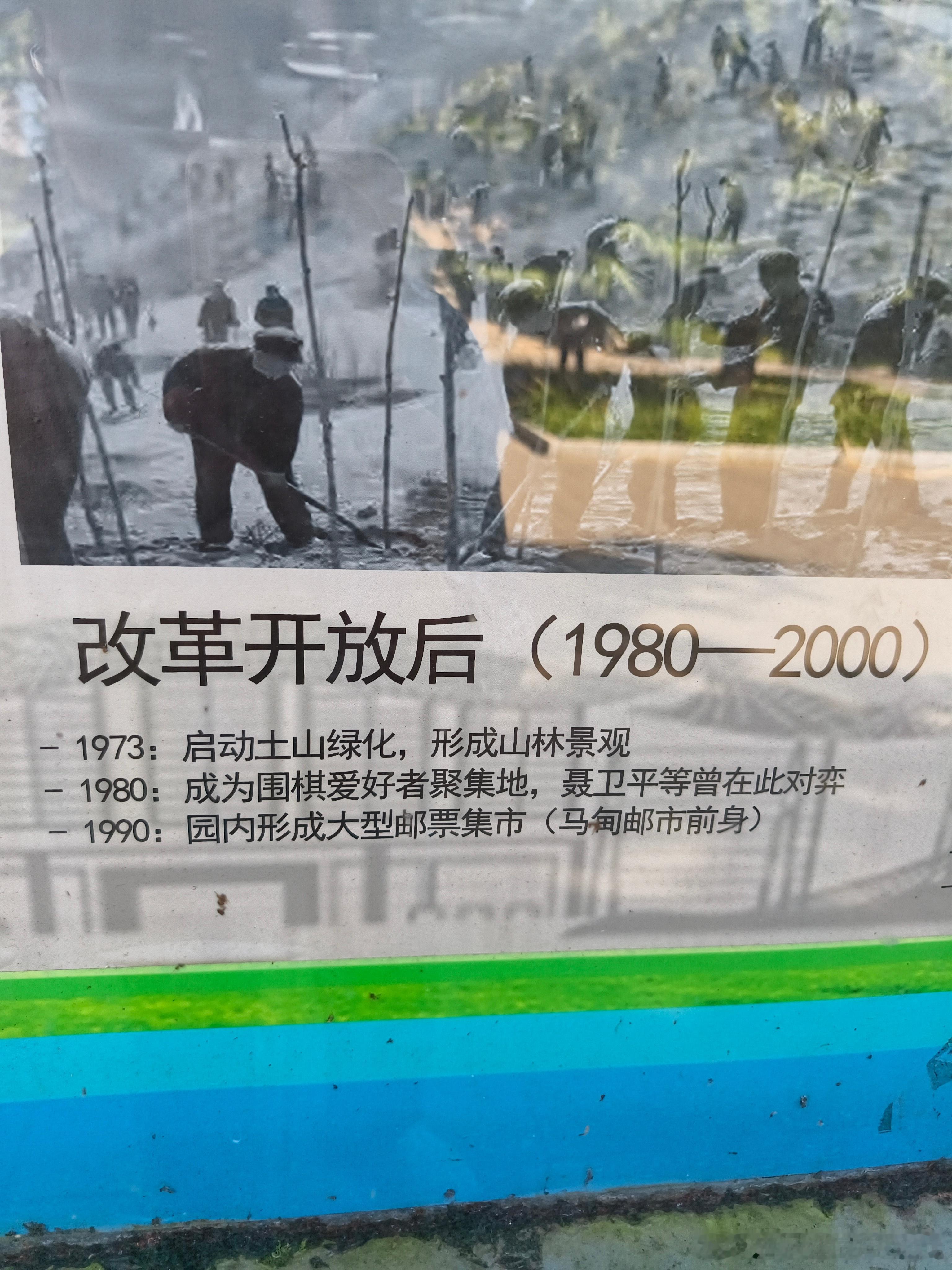 围棋爱好者所在地，难怪公园一堆下棋的[吃瓜]​​​