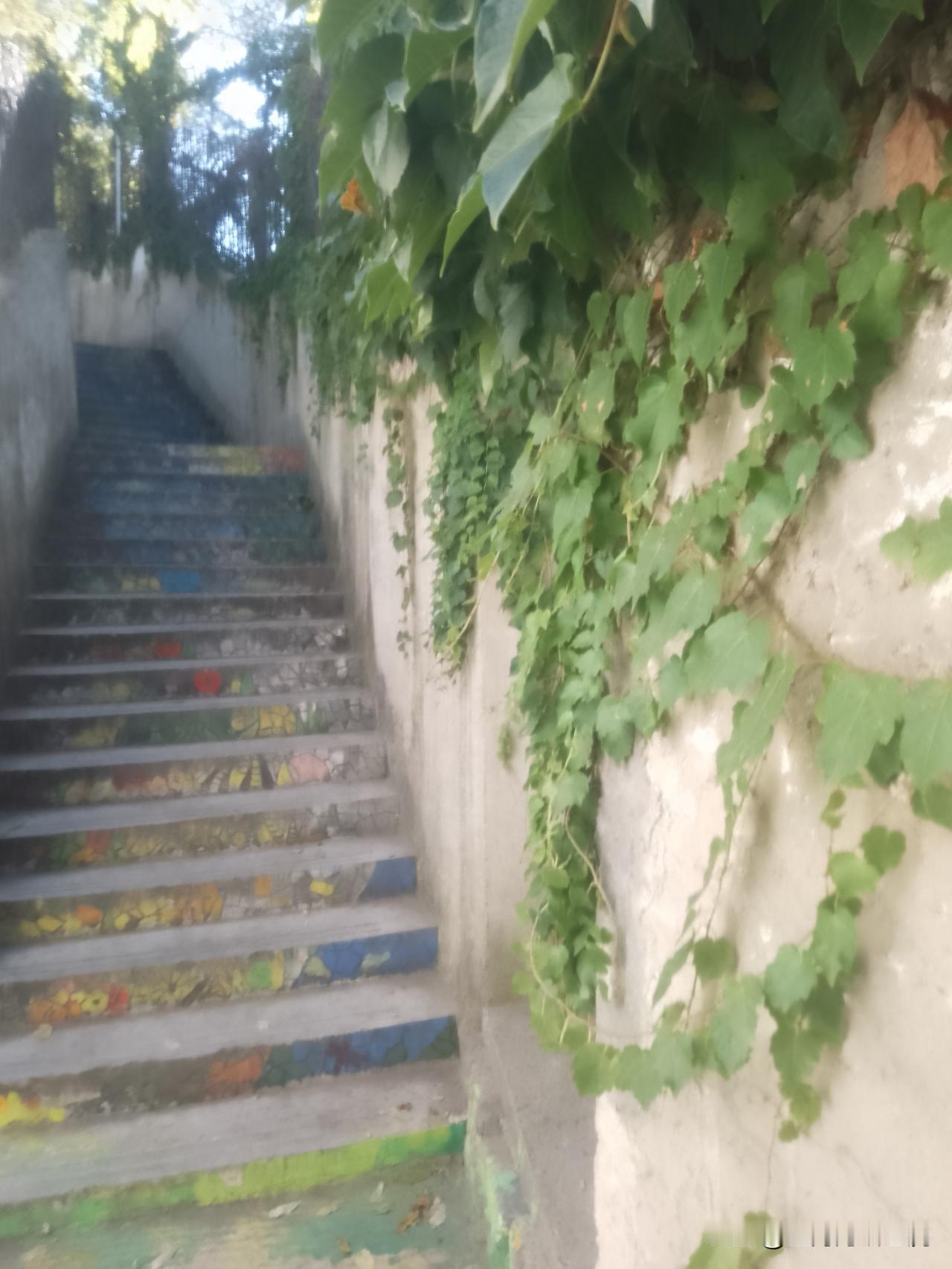 要不要给农村老年人发养老金？最近，有不少学者，例如李稻葵教授，都主张把农村老年