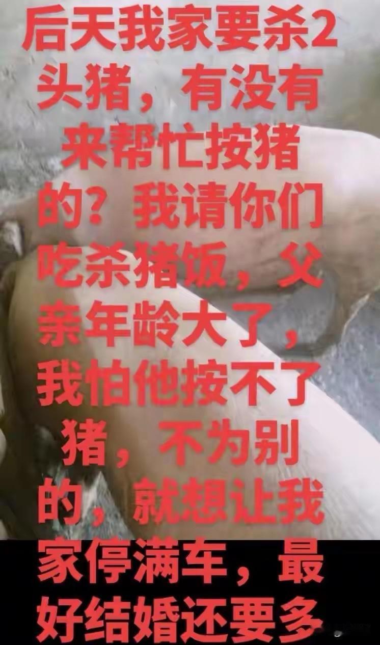 看热闹看进后厨！男子围观杀猪被拉去掌勺，一场意外竟开启主厨生涯浙江衢州的陈师
