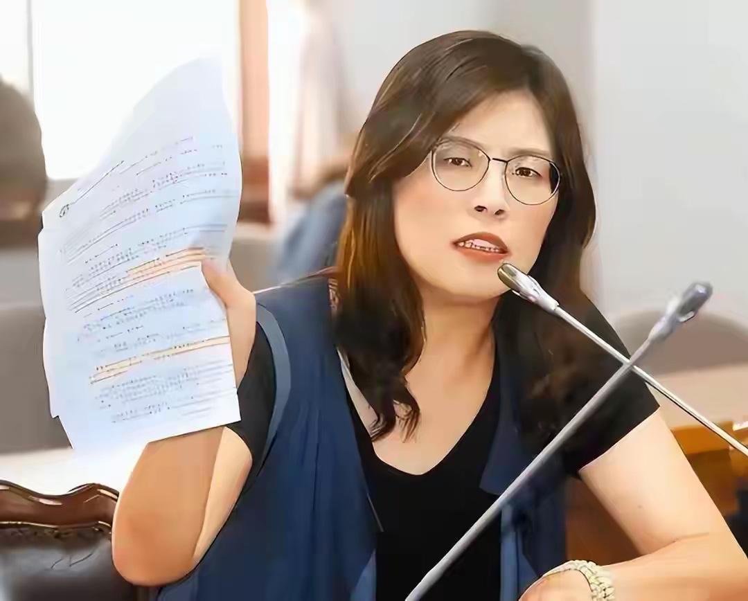 敢帮台独搞清算的人真能逍遥法外吗台湾检察官陈舒怡专门针对支持统一的人下手，手