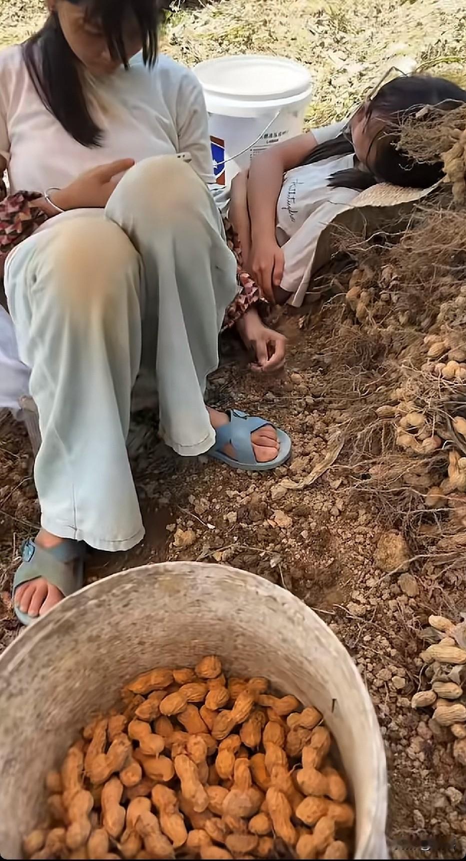 现在的孩子能到地里去就不错了，可以了不要要求太高