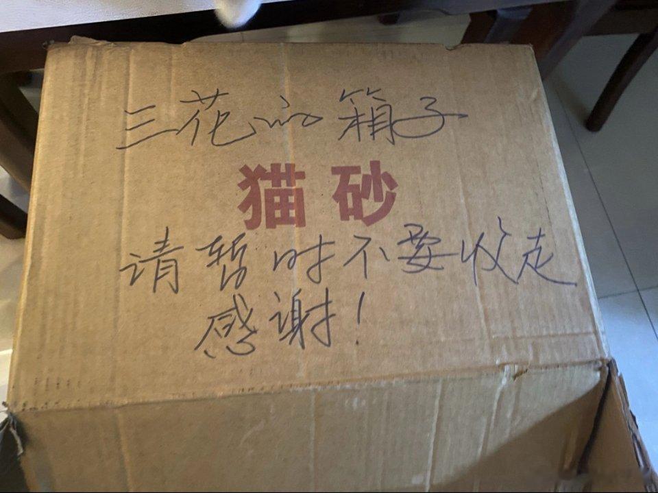 现在的老头老太太真是捡箱子上瘾朋友给三花放的纸箱子还是被收走了，就是下雪那天特别