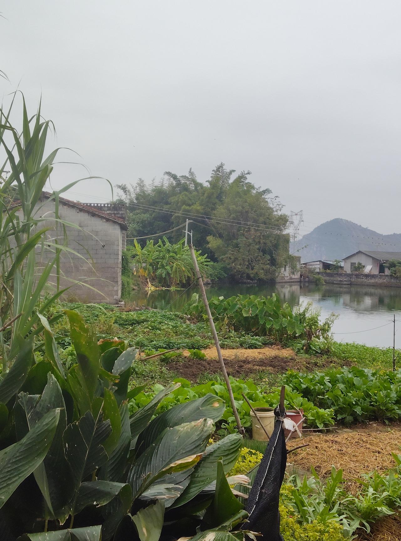 要说一年里头哪个季节景色最美，还真不好说，毕竟每个季节都有它独特的美。春天，