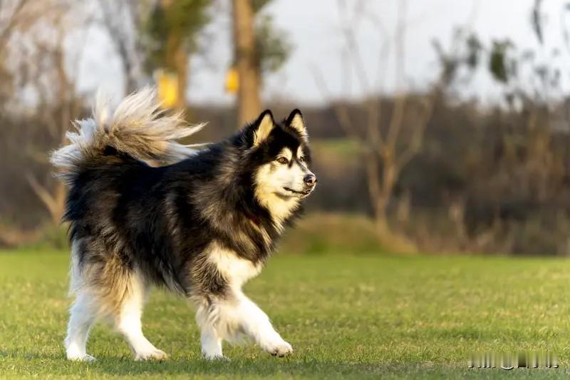 不管在哪里上班请记住以下几点1.工作上没有公平可言，要么干，要么不干，要么