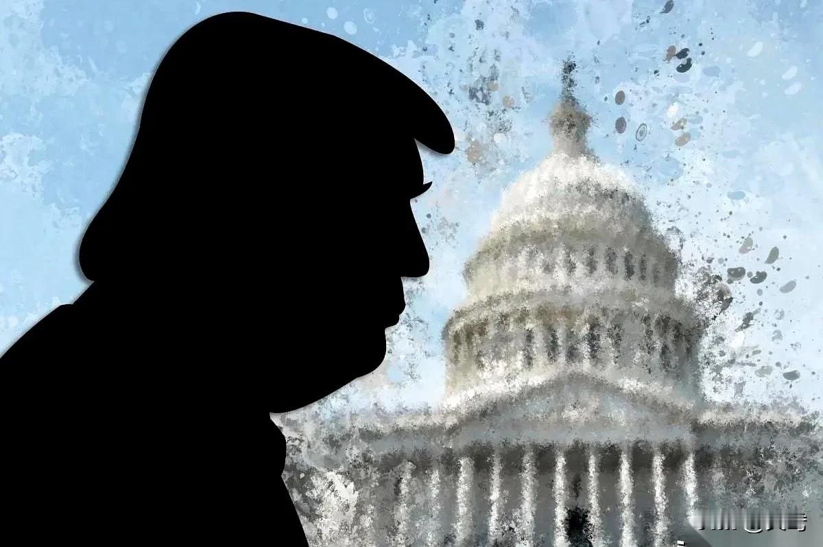 美国国会计划出台新规，禁止特朗普以自己名字命名任何联邦资产。发生这一切的原因是，