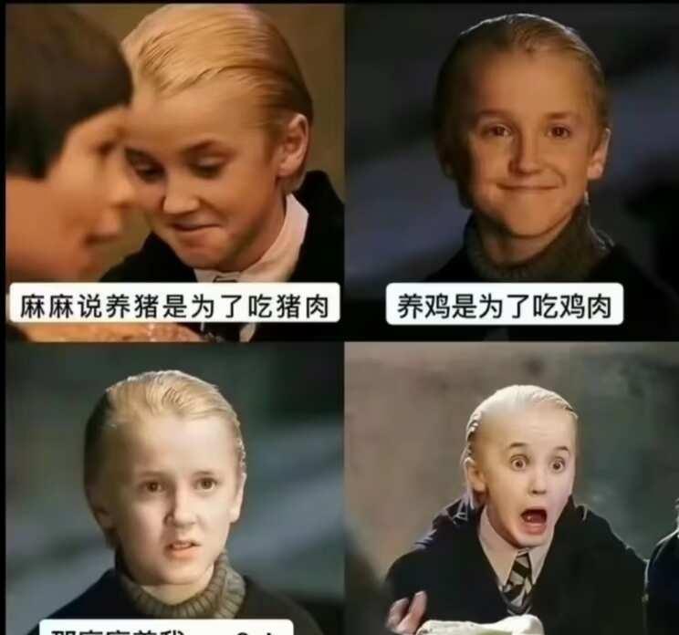 梗图来袭哈利波特梗图莫名其妙击中笑点此图有梗我这狗屎般的笑点