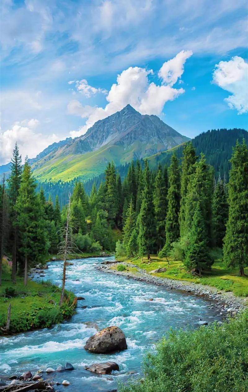 一位65岁的旅游博主说:“退休后疯狂旅游5年，走遍全国才发现：旅行对老年人来说