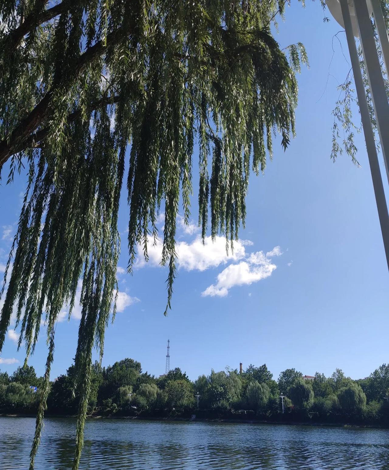 北京气温回升，最高温度29℃！今天白天最高温度升至29℃啦！太阳高照，阳光热烈