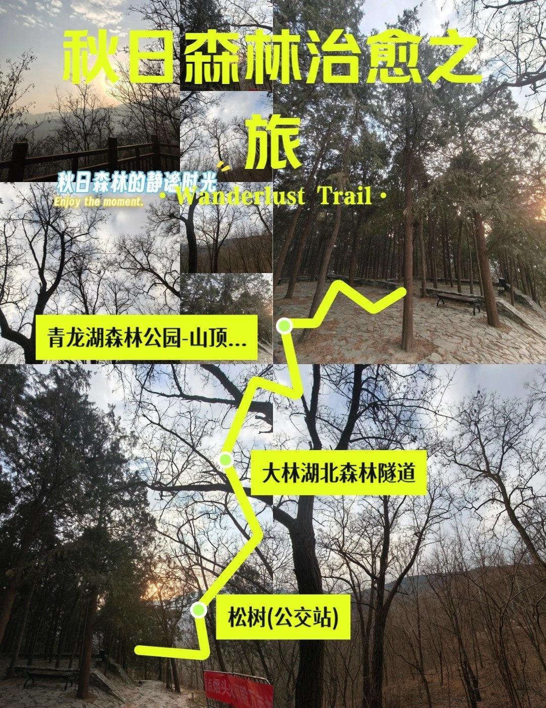 🌲秋日森林治愈徒步记📍杭州发现宝藏出片点我拍到的治愈系风景徒步路线推荐