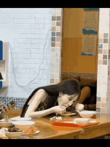 看小姐姐吃东西的状态就是率真的姑娘[赞]