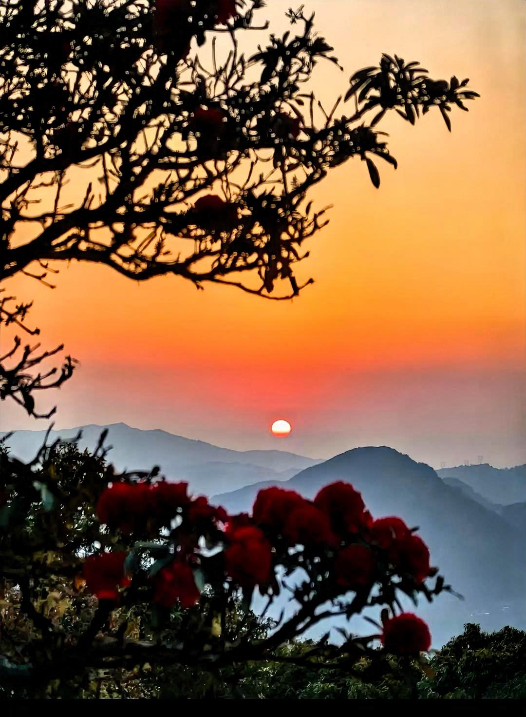 夕阳西下，美景如画。那一抹绚丽的橙红色余晖，像是大自然打翻了调色盘，肆意地倾洒在