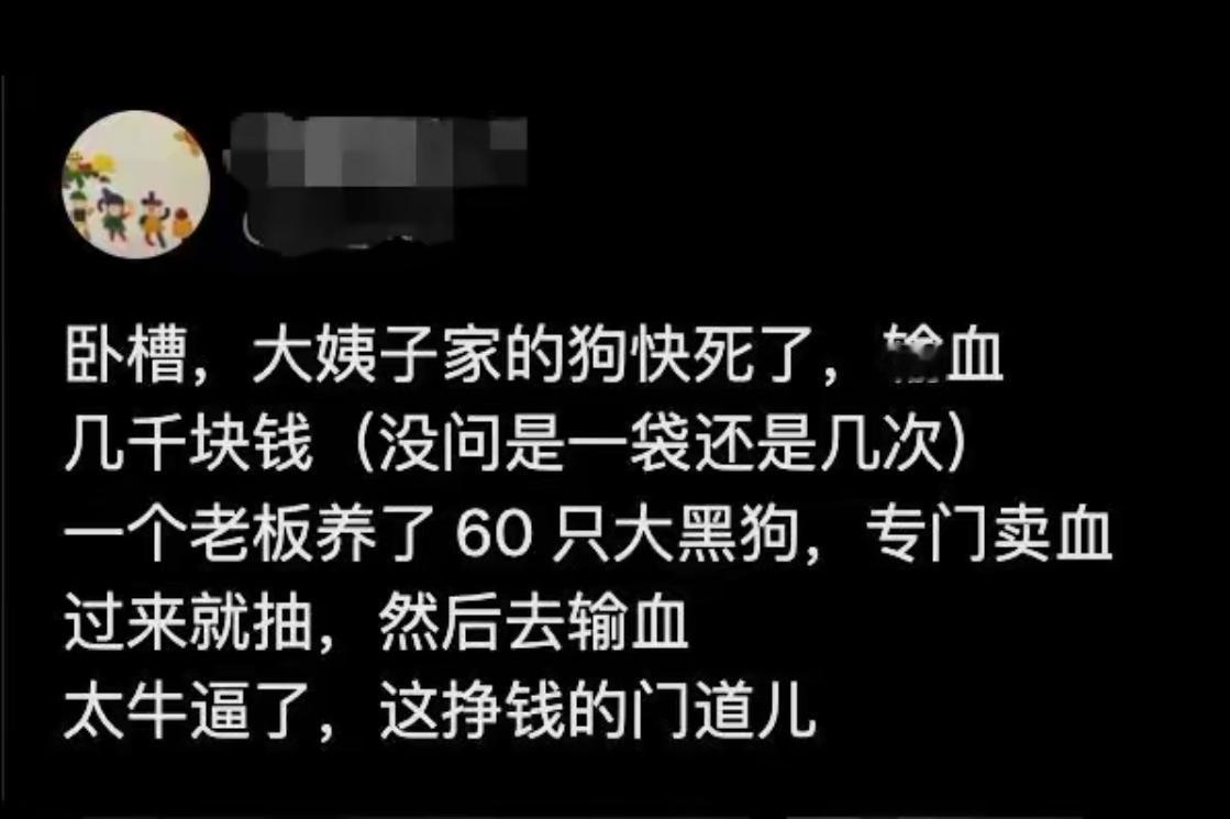 爱狗爱到极致了。