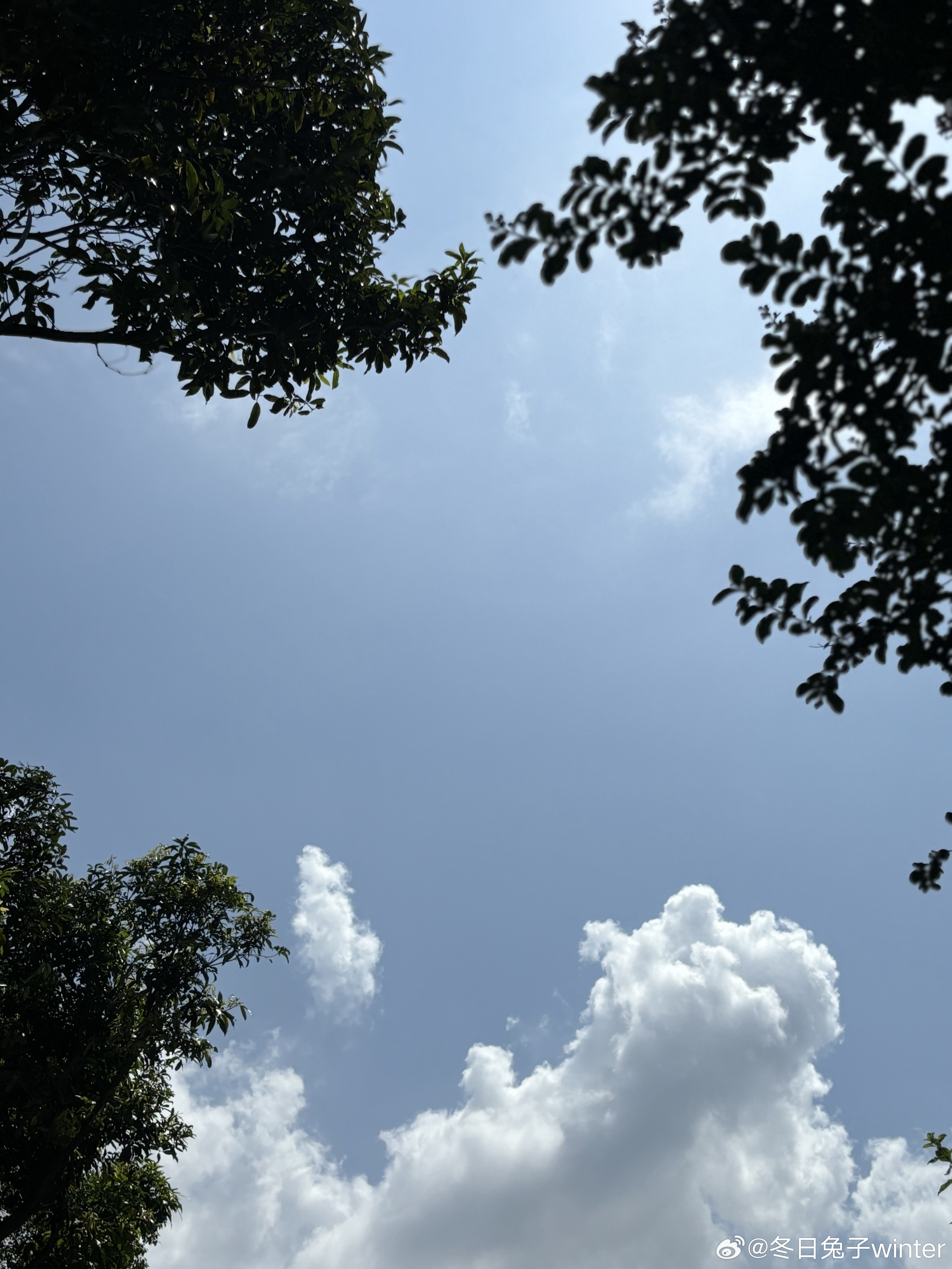 今年12号台风看来广东又在吹空调外机了～看看这天空的云有多好看就知道