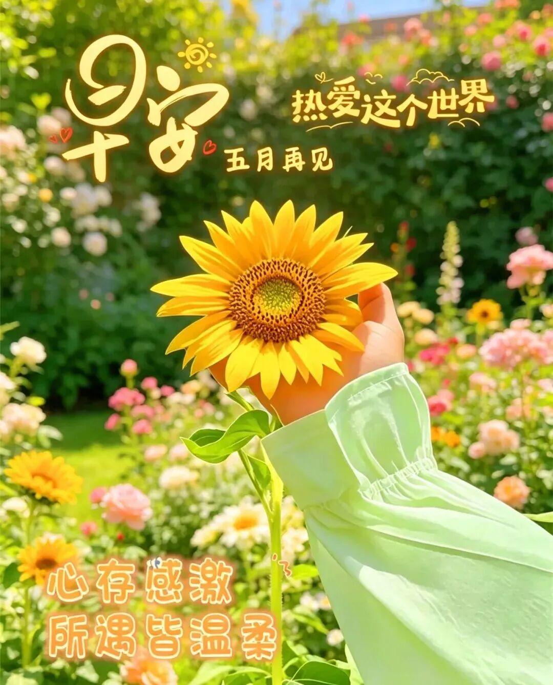 愿往事不回头，未来不将就！再见，五月，您好，六月！相信自己，一切都是最好的开始！