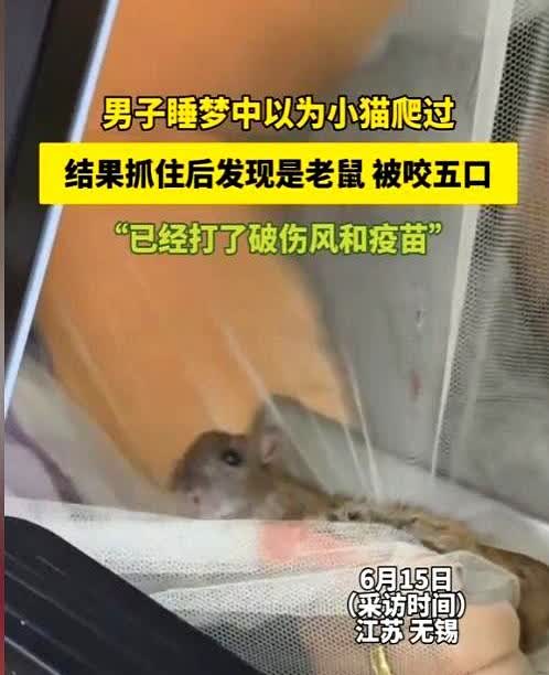 “想想就后怕！”江苏无锡，一男子晚上睡觉时，突然察觉手边有活物爬过，浑身毛绒绒的