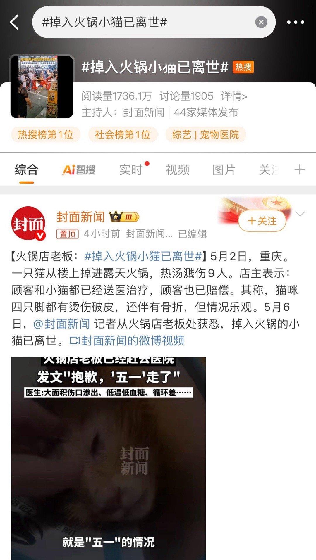 掉入火锅小猫已离世热搜第一​​​