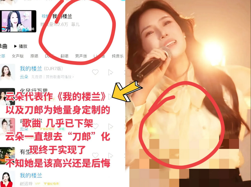 各大音乐平台下架了云朵icon演唱刀郎icon的所有歌曲！云朵谢春芳icon触碰