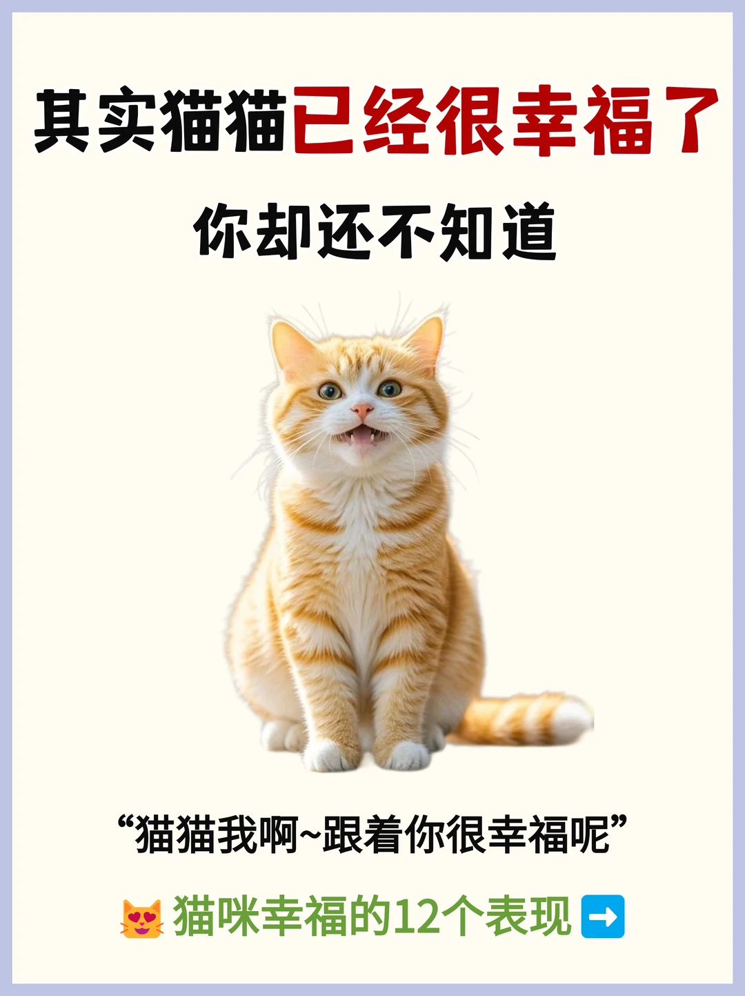 😻猫咪超幸福的12个表现❗️你家占几条？
