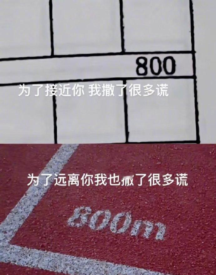 800这个数字能文能武