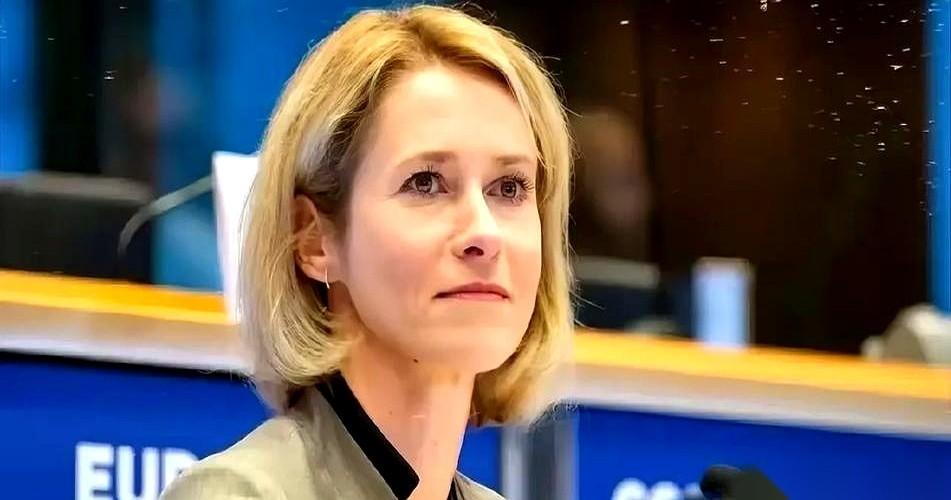 把大毛打疼？他就会乖乖回来谈判？我听完差点笑出声。这话听着真解气，跟吹牛不上