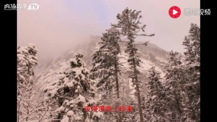 相思风雨中简谱_张学友相思风雨中简谱(3)