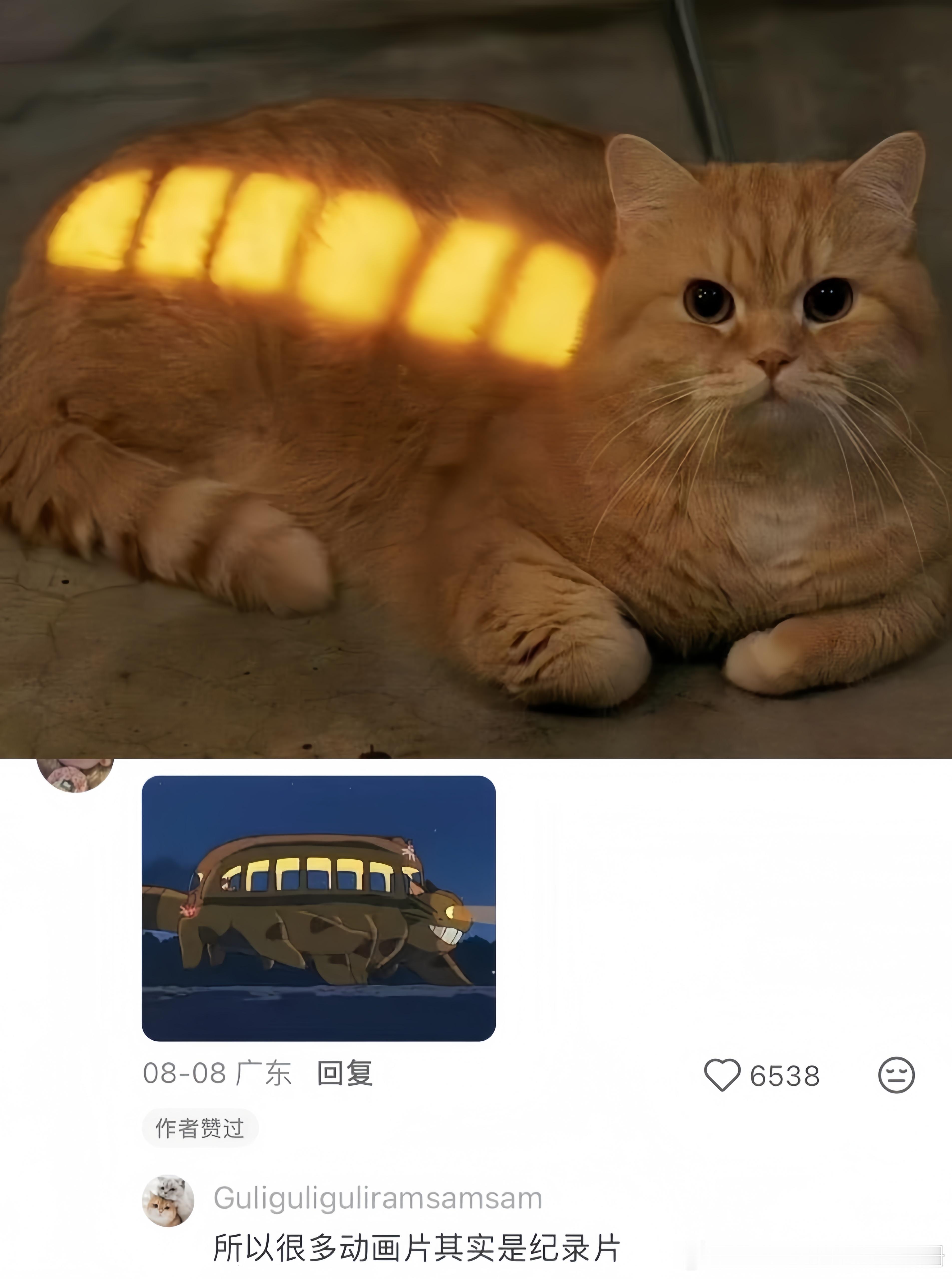 小猫咪你的电已经充满啦​​​