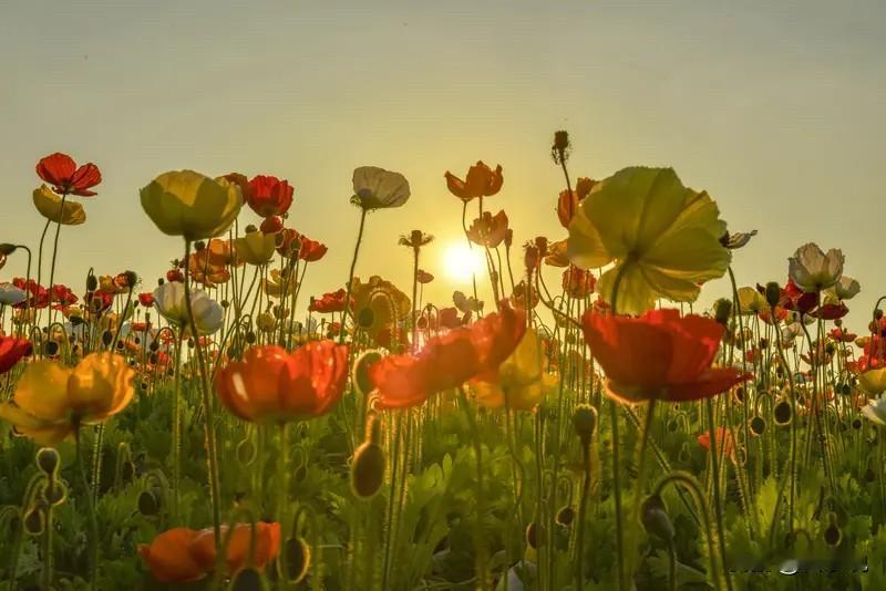 过来人的几句实在话，看懂了少走弯路1.保护好自己的资源：不要轻易把核心资源