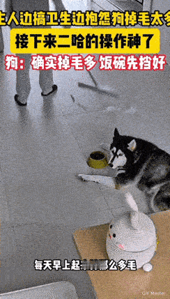 浙江这狗子，简直成精了都！主人正拿着扫帚在屋里转悠，一边扫一边嘟囔：“你看看这屋