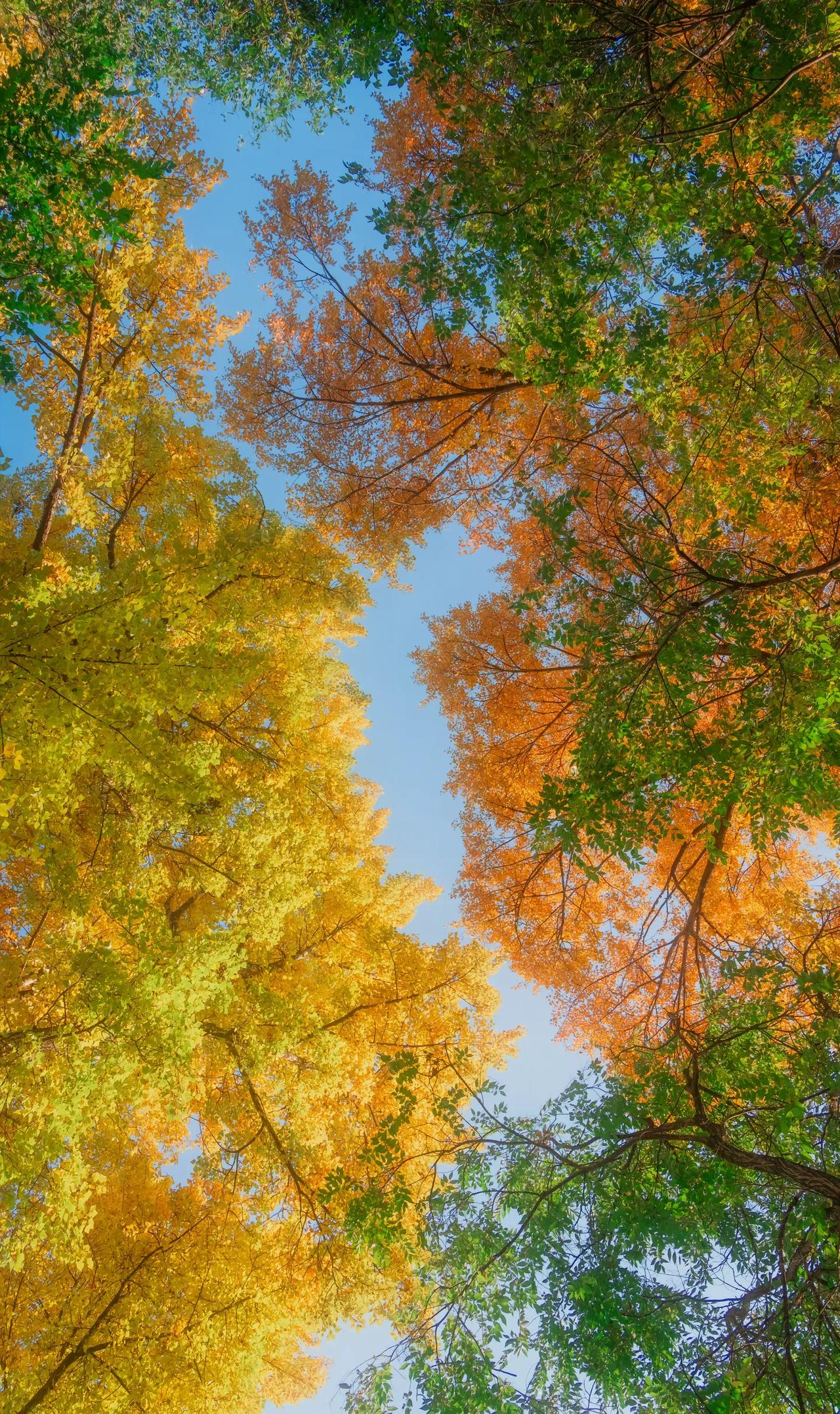 基金经理薪酬与业绩挂钩！基金经理的“铁饭碗”要变天了！过去三年跑输业绩基准10%