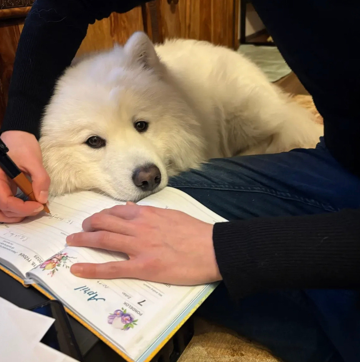 妈妈说我是她学习路上的最大障碍​​​