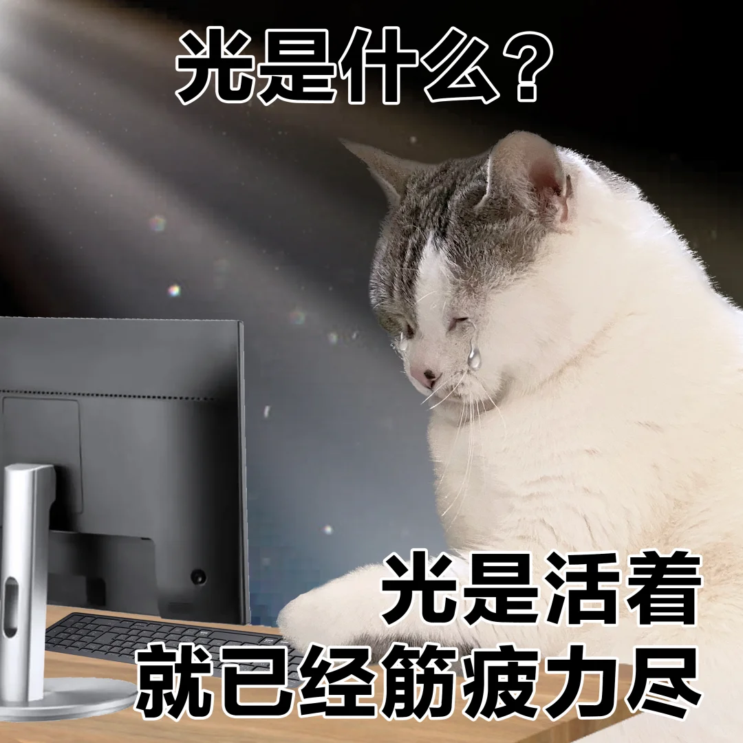 表情包 | 一些莫名其妙的精神状态表情包