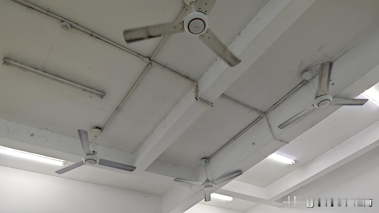 今天被越南妹子嫌弃了。中午大概12点30分，我从宿舍出来，到办公室准备加班搞点
