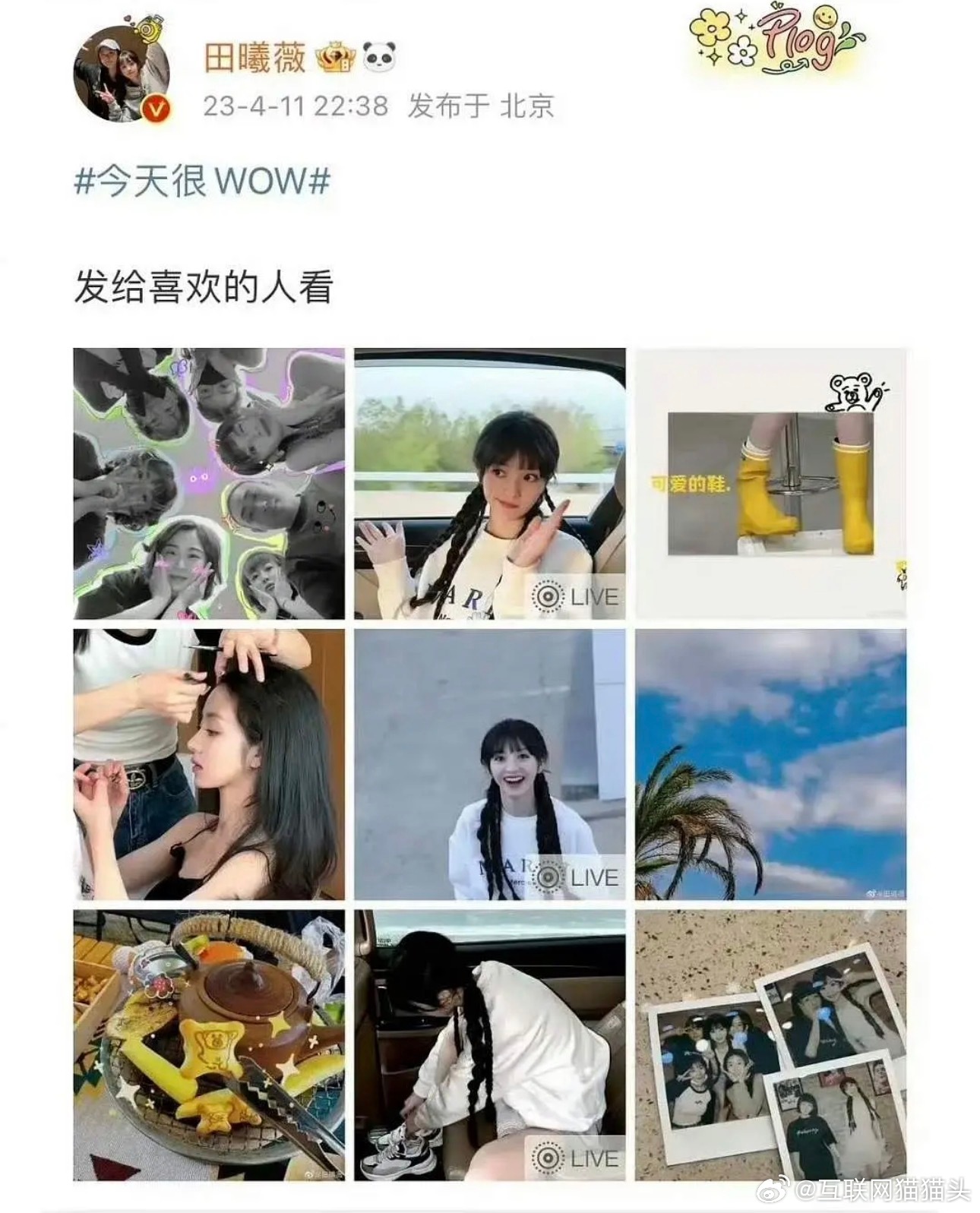 🐮🍩性格感觉蛮像的howpay🔒死